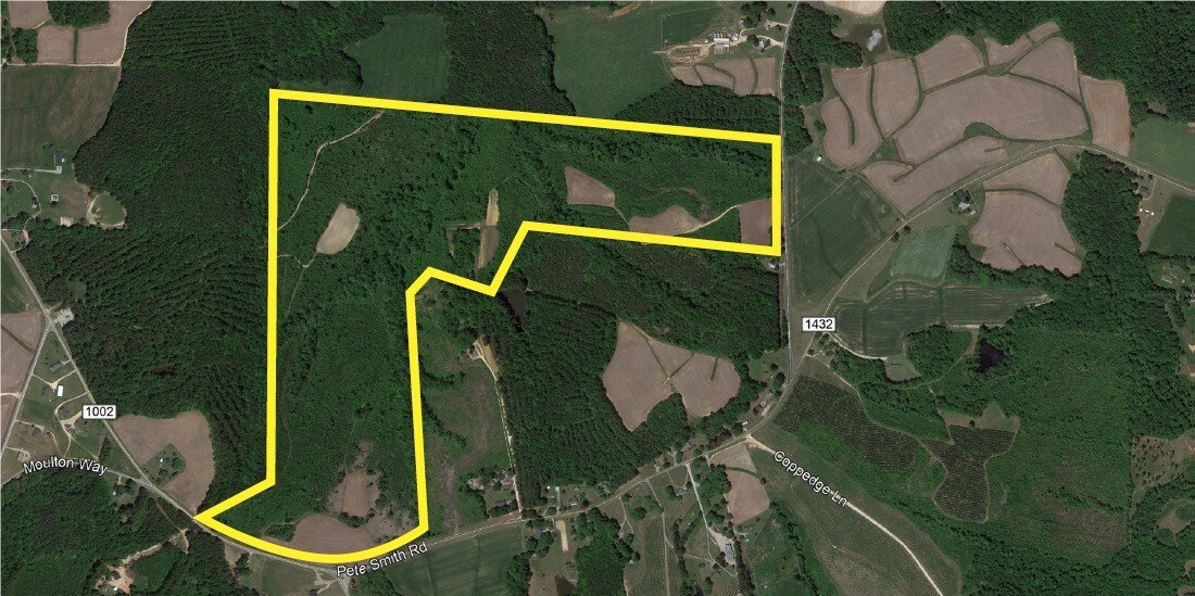 Trinity Church Rd, Louisburg, NC for sale Building Photo- Image 1 of 1