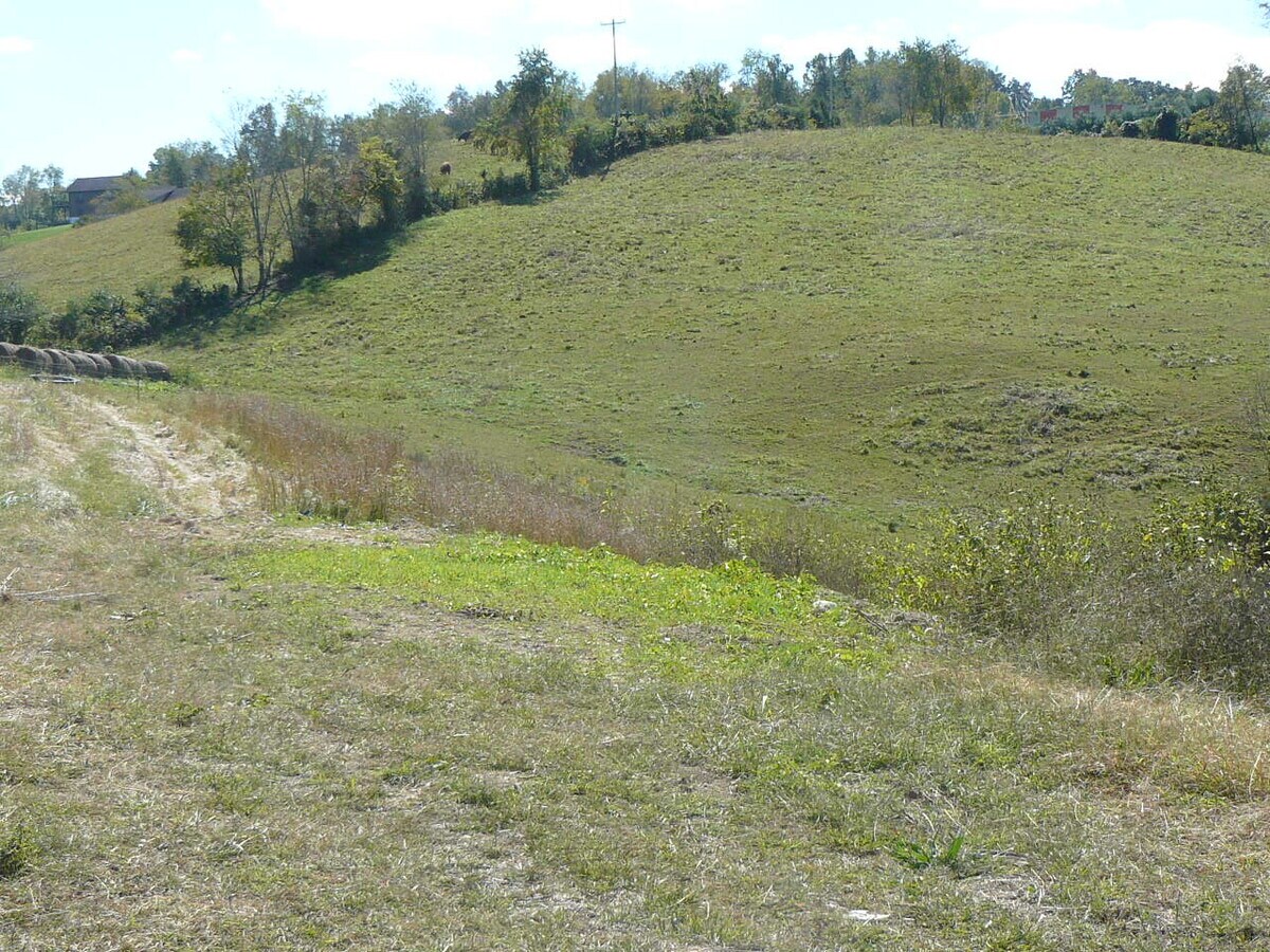 511 Old Cave Springs Rd, Tazewell, TN 37879