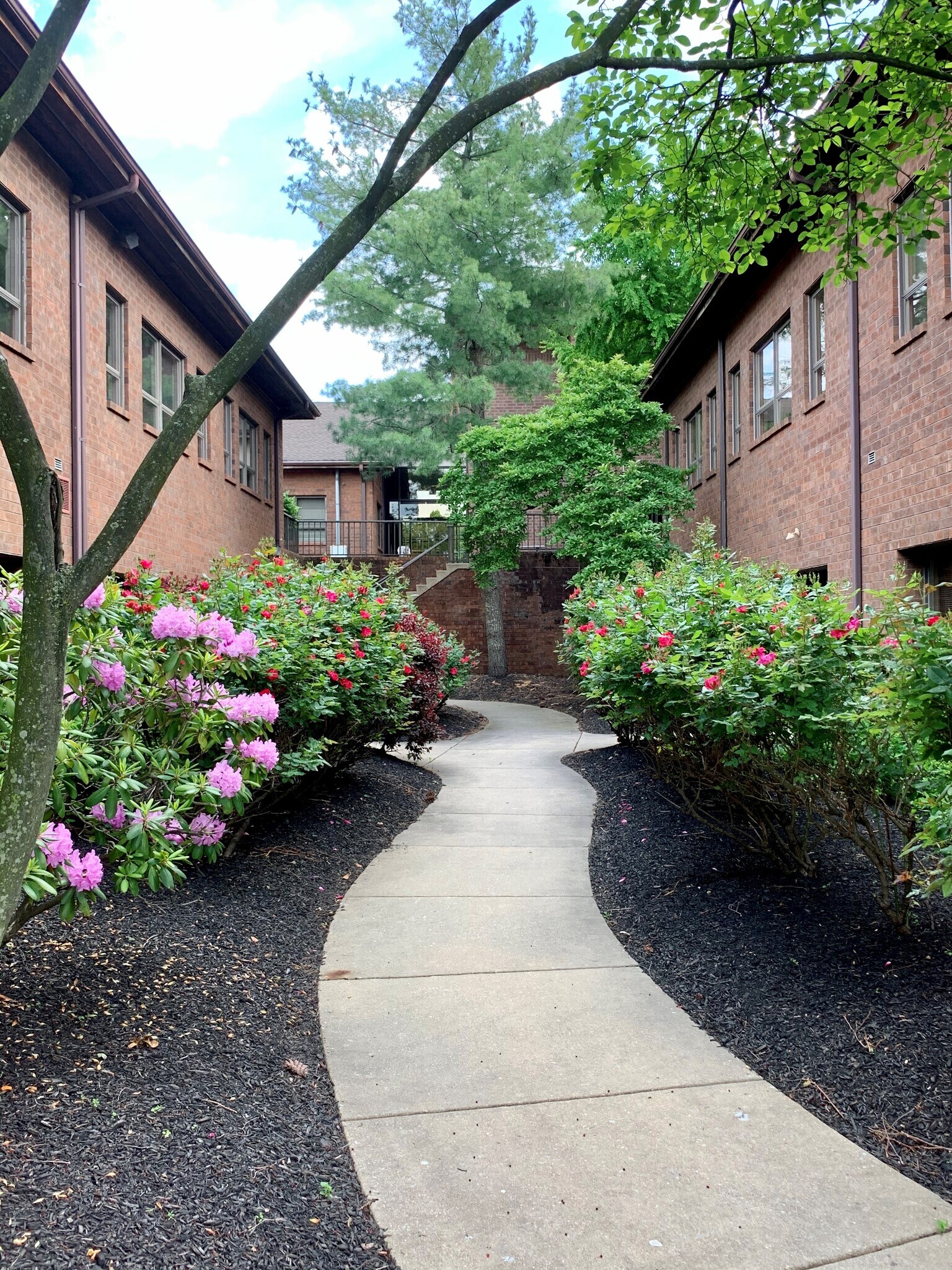 435 Devon Park Dr, Wayne, PA 19087 Devon Park