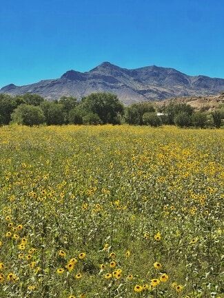 More details for Polvadera Rd, Polvadera, NM - Land for Sale