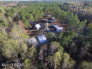 17668 NE Flatwoods Rd, Altha, FL for lease - Aerial - Image 3 of 3