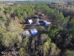 17668 NE Flatwoods Rd, Altha, FL - aerial  map view