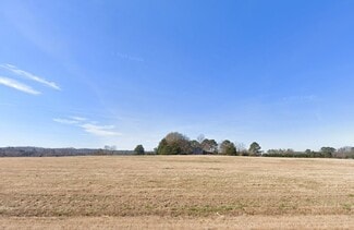 More details for 4035 US Hwy 411, Rydal, GA - Land for Sale