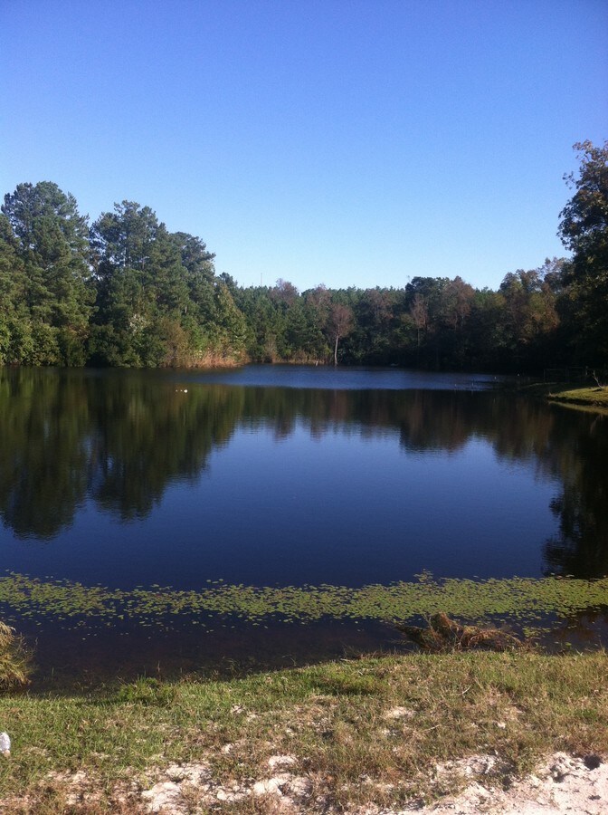 3086 Bowen St, Elgin, SC 29045