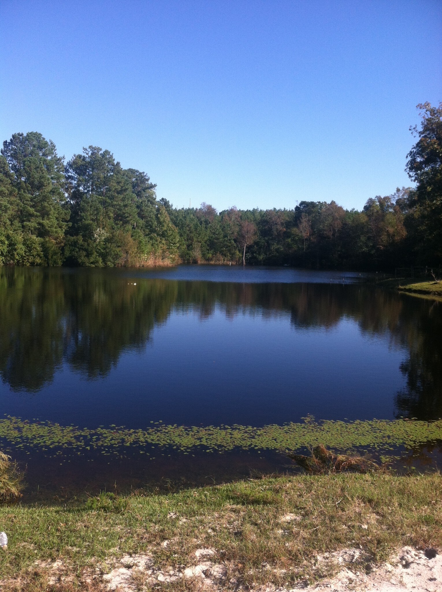 3086 Bowen St, Elgin, SC for sale Primary Photo- Image 1 of 1