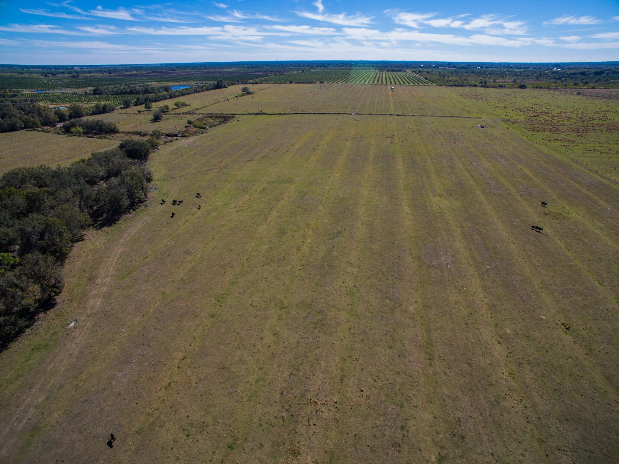 NE Hwy 17, Arcadia, FL for sale Building Photo- Image 1 of 1
