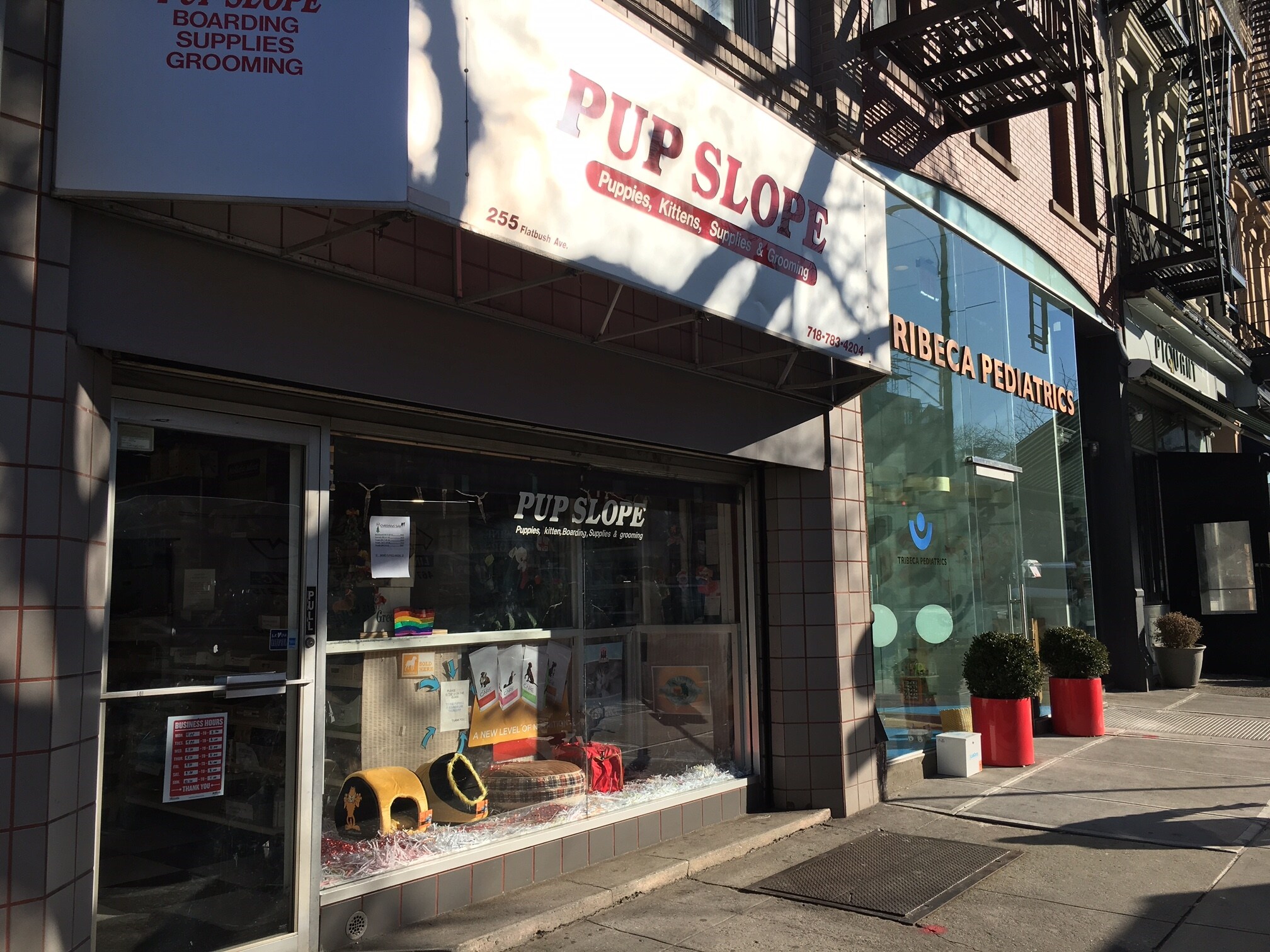 255 Flatbush Ave, Brooklyn, NY for sale Building Photo- Image 1 of 1