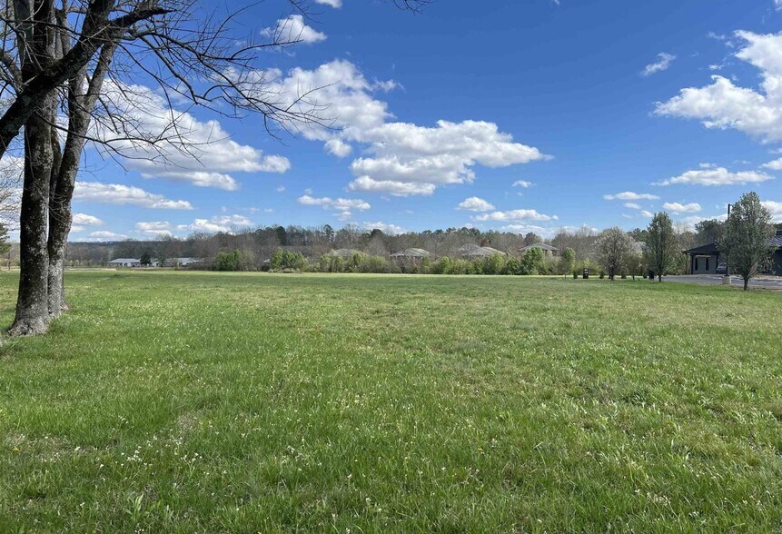 0 2nd Ave, Oneonta, AL for sale - Building Photo - Image 3 of 4