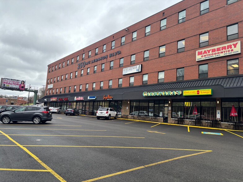 250 Mt Lebanon Blvd, Pittsburgh, PA for lease - Building Photo - Image 3 of 19