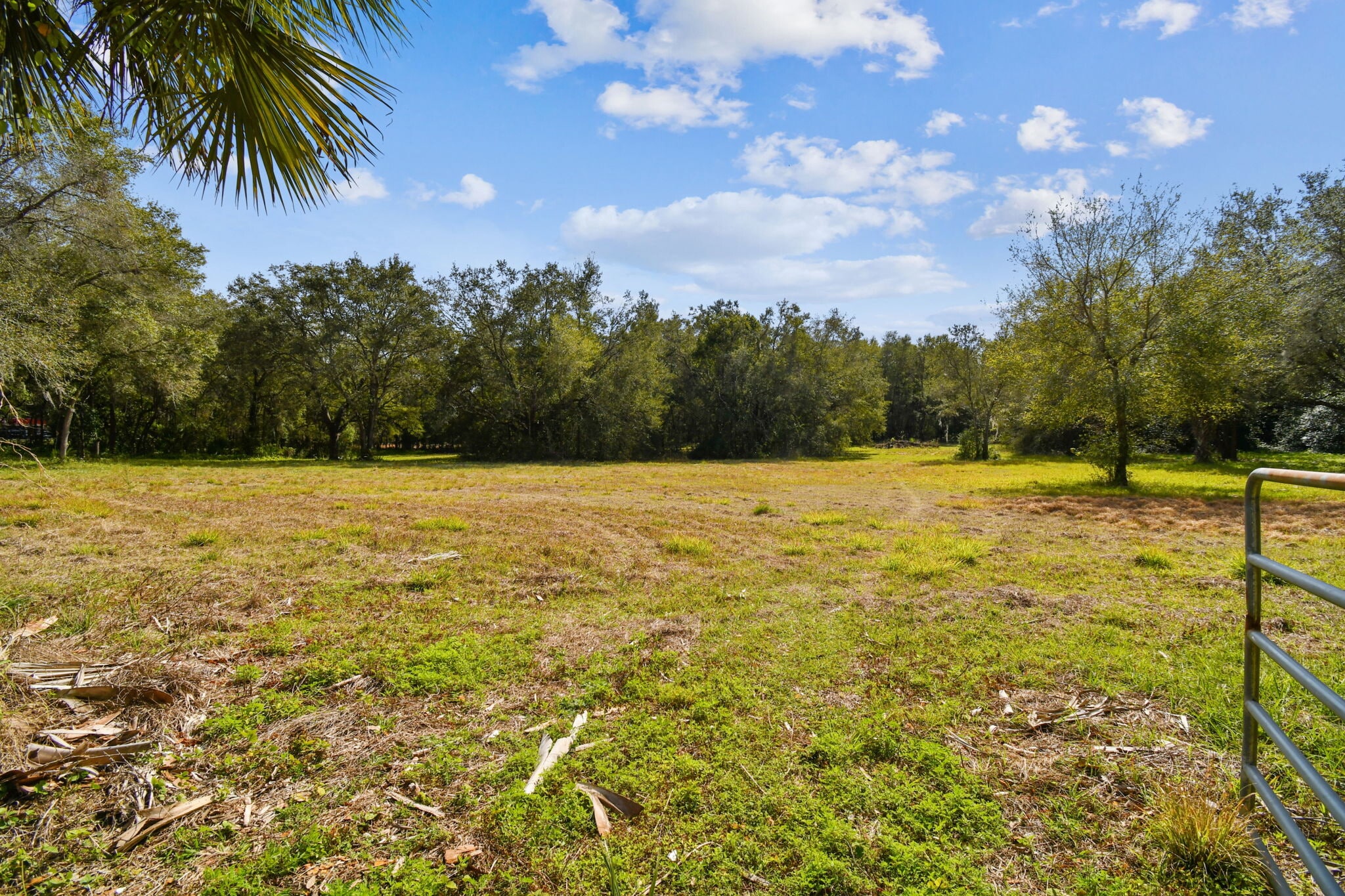 10415 Main Street St, Thonotosassa, FL 33592 10415 MAIN ST