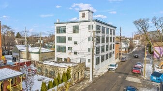 1441 Brooklyn St, Detroit MI - Loft