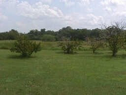 0 Traders Rd, Greenville, TX for sale Primary Photo- Image 1 of 1