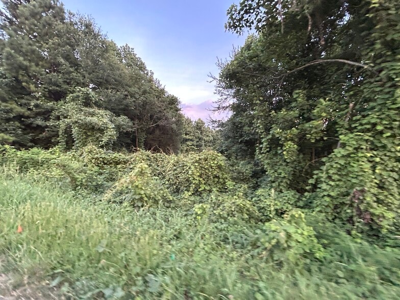 Old Plank Rd, Lowesville, NC for sale - Other - Image 2 of 3