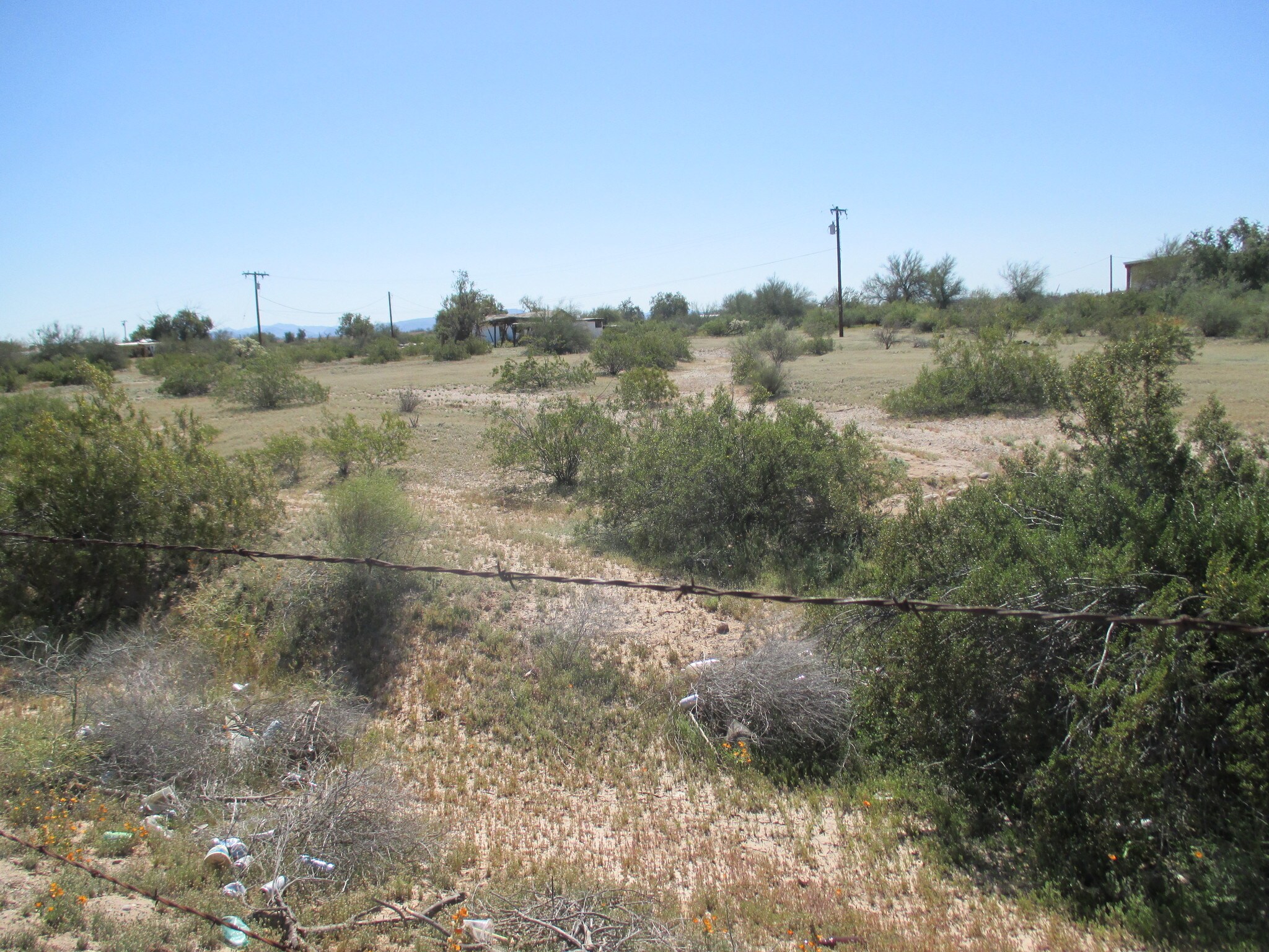 53431 S Stout Rd, Gila Bend, AZ for sale Primary Photo- Image 1 of 1