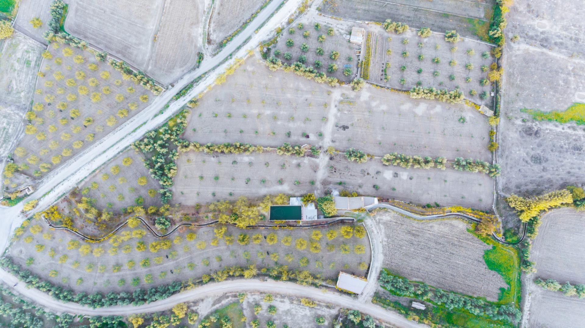 Land in Baza, Granada for sale Aerial- Image 1 of 21