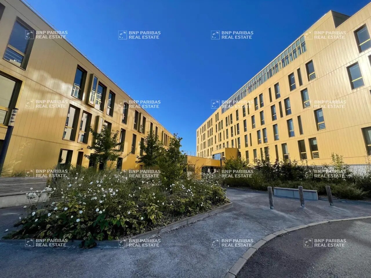 78 Rue Nicolas Appert, Lezennes for lease Building Photo- Image 1 of 20