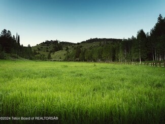 More details for 5450 Dry Henderson Rd, Victor, ID - Land for Sale