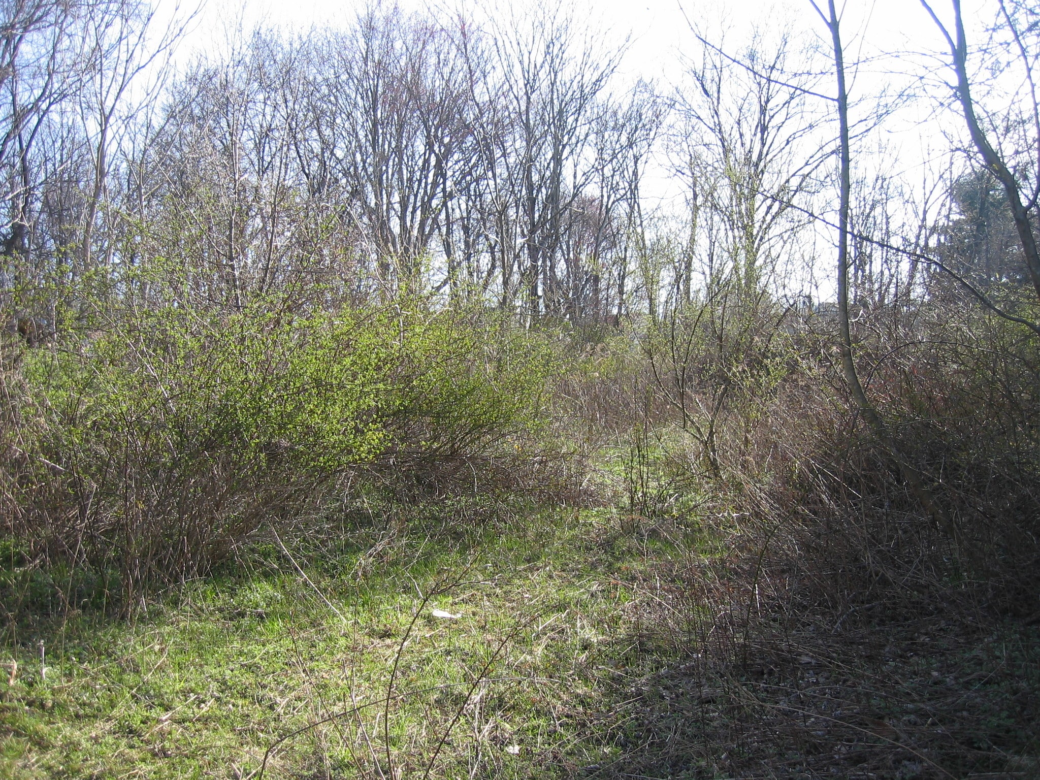 6560 Blue Ridge Ave, Harrisburg, PA for sale Building Photo- Image 1 of 2