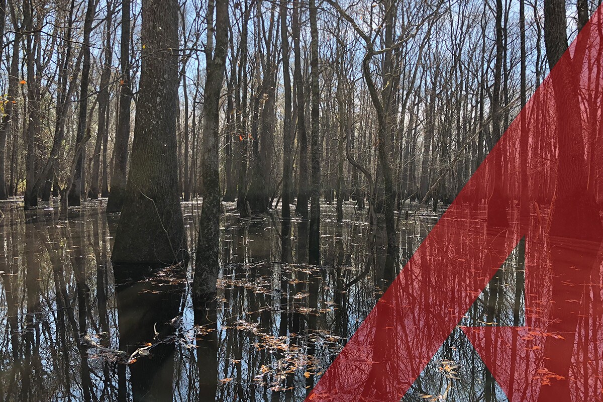 SCREAMING EAGLE Rd, Lugoff, SC for sale Other- Image 1 of 1