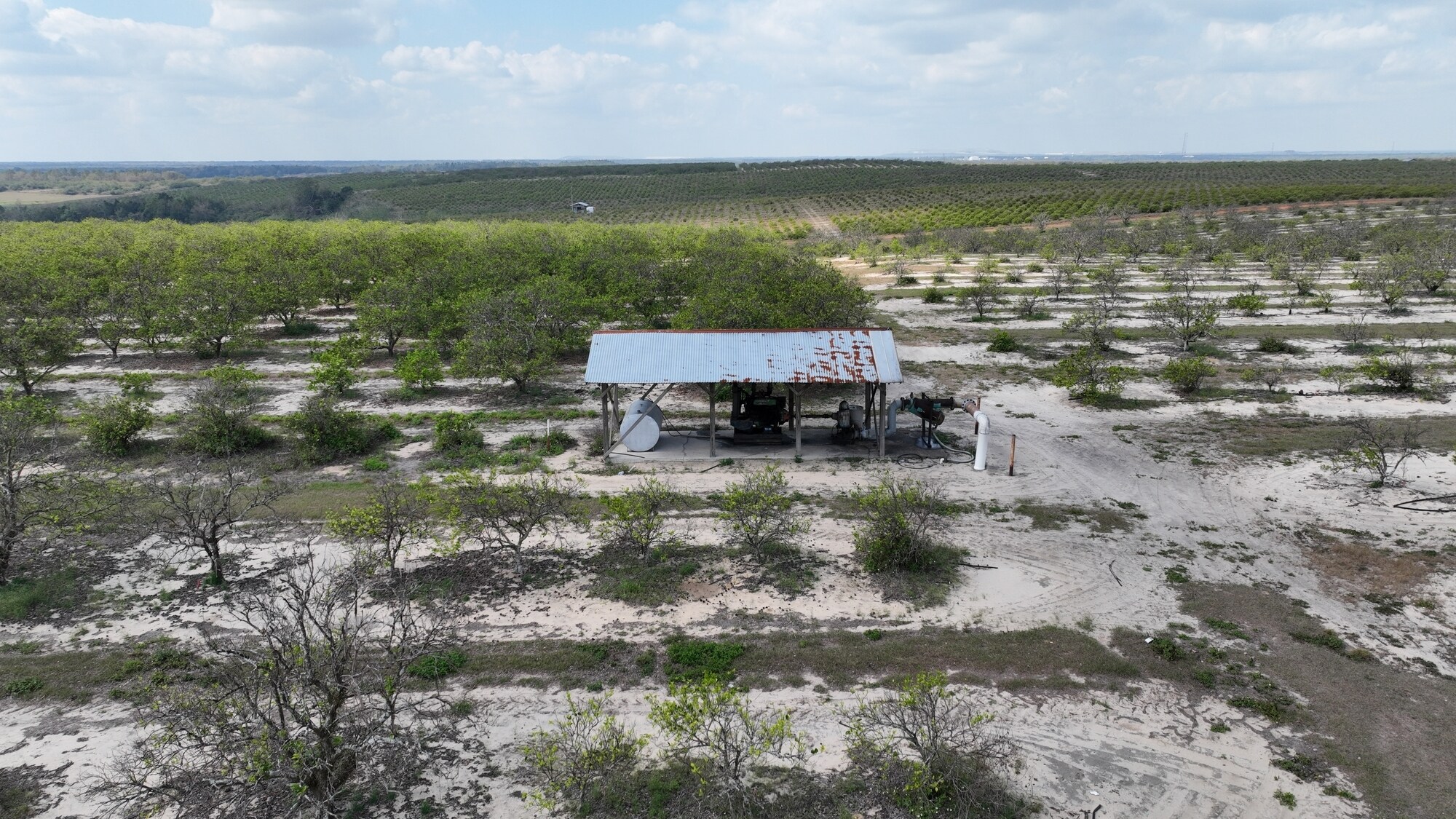 Albritton Road, Bartow, FL 33830 Sand Lake Grove