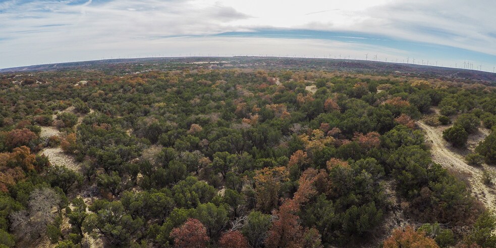 Tbd Siesta Ln, Tuscola, TX for sale - Building Photo - Image 1 of 1