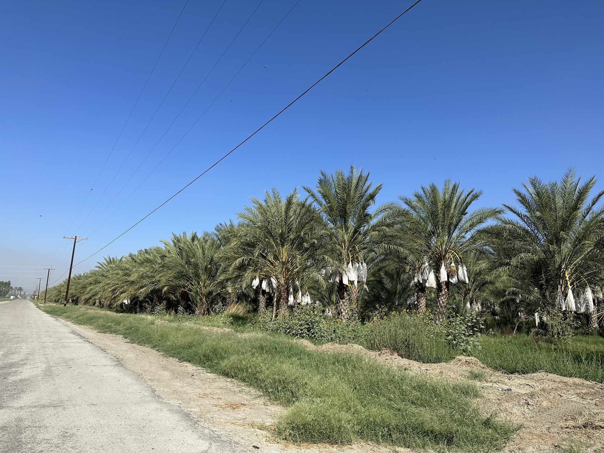 60504 Jackson St, Thermal, CA for sale Building Photo- Image 1 of 9