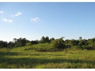 0 W Cox Ferry Rd, Conway, SC for sale Primary Photo- Image 1 of 1