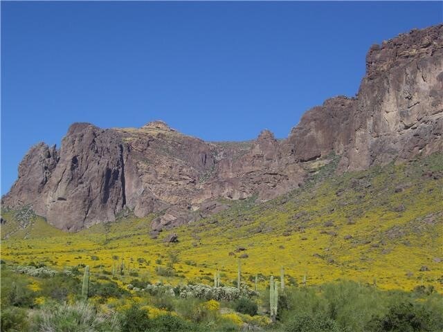 2075 N Holmes Rd, Apache Junction, AZ for sale Other- Image 1 of 1