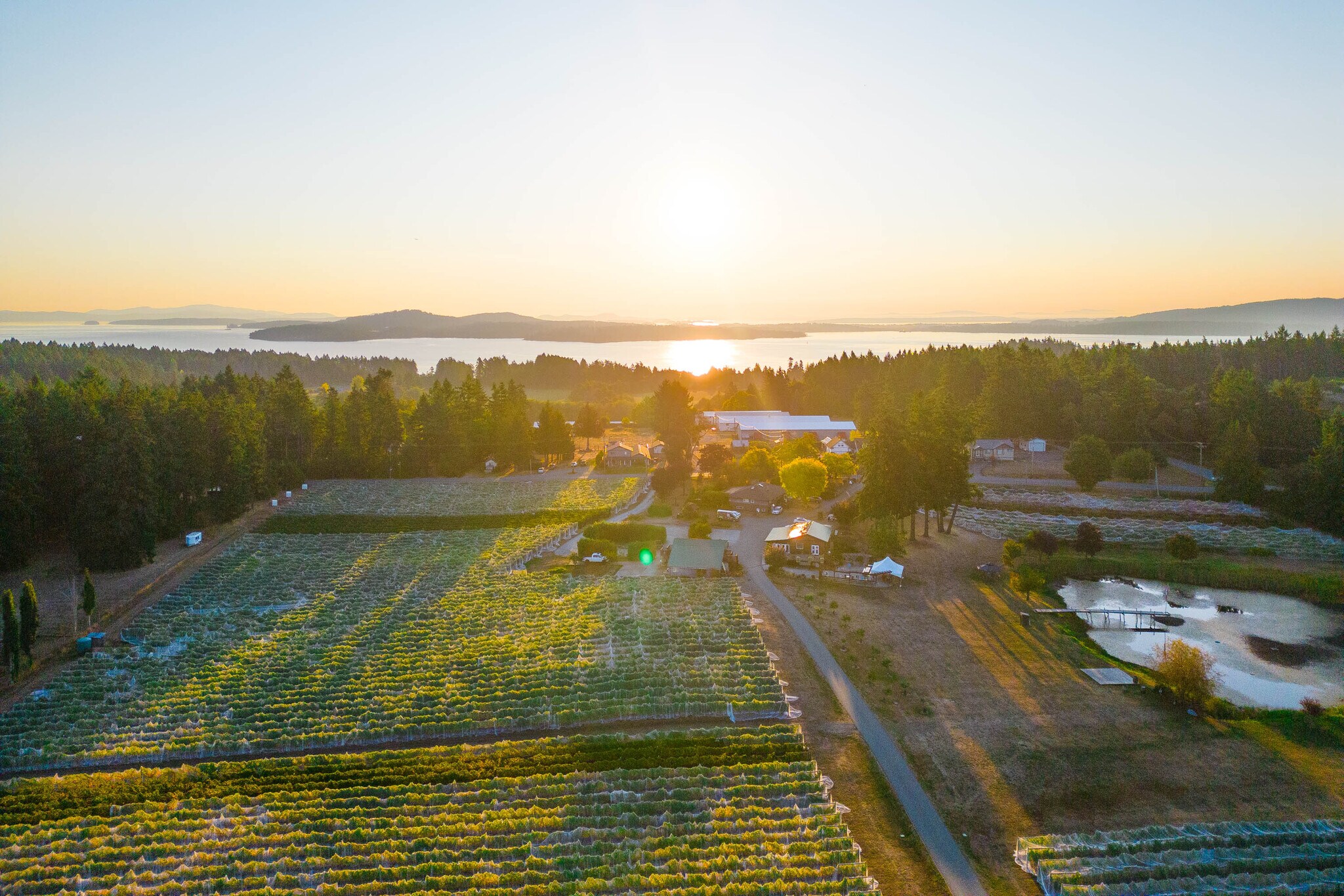 3280 Telegraph Rd, Mill Bay, BC for sale Primary Photo- Image 1 of 1