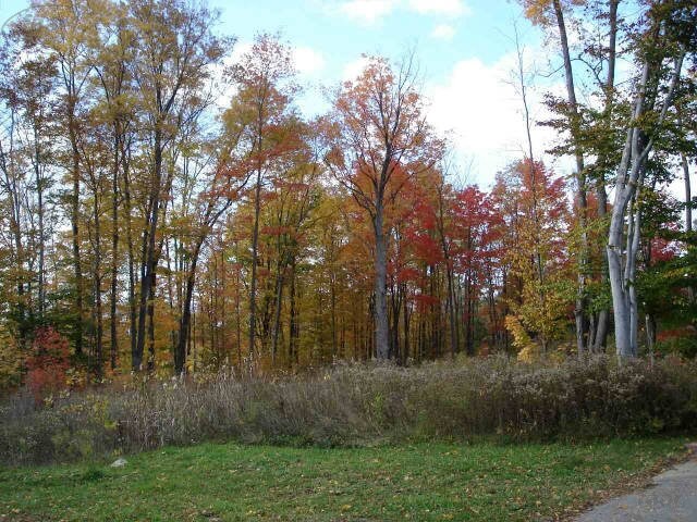 S Elms Rd, Flint, MI for sale - Primary Photo - Image 1 of 1