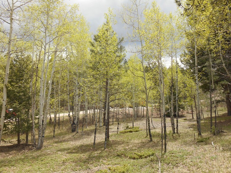 TBD Evergreen Heights, Woodland Park, CO for sale - Primary Photo - Image 1 of 1