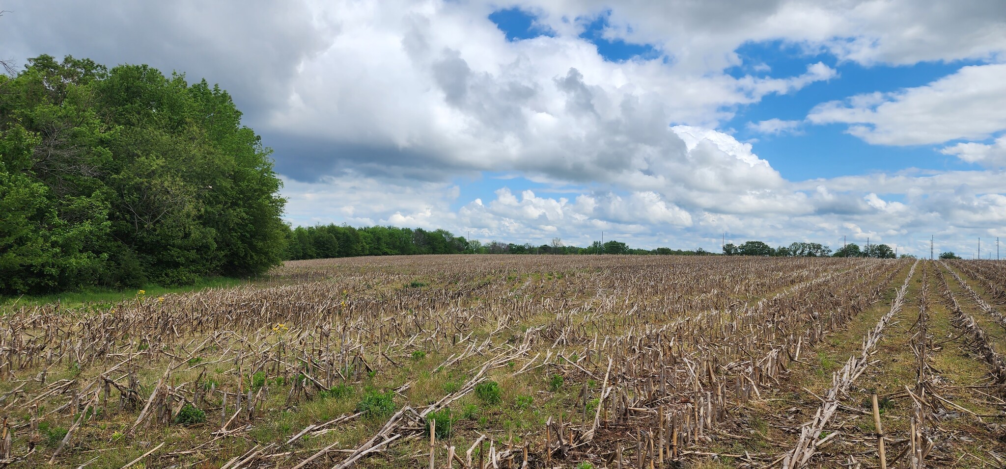 Highway B (30+/- Acres), Elsberry, MO for sale Other- Image 1 of 1