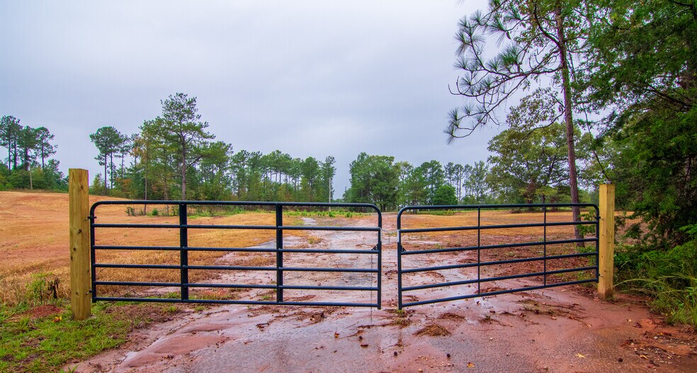 6890 Lickskillet Rd, Hamilton, GA 31811 Land for Sale