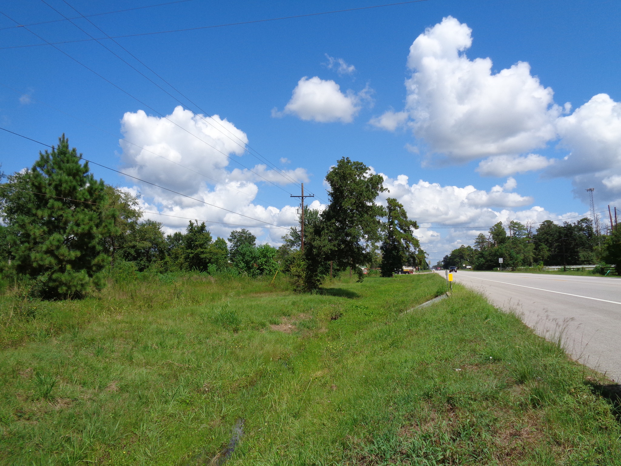 16444 FM 2090, Conroe, TX for sale Primary Photo- Image 1 of 8