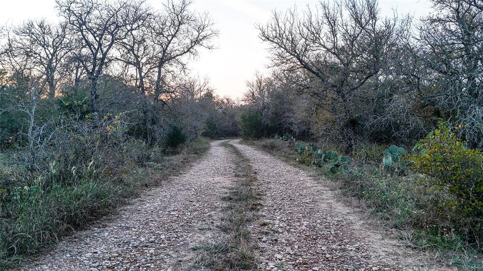 137 Shady Oaks Loop, Cedar Creek, TX for sale - Primary Photo - Image 1 of 13