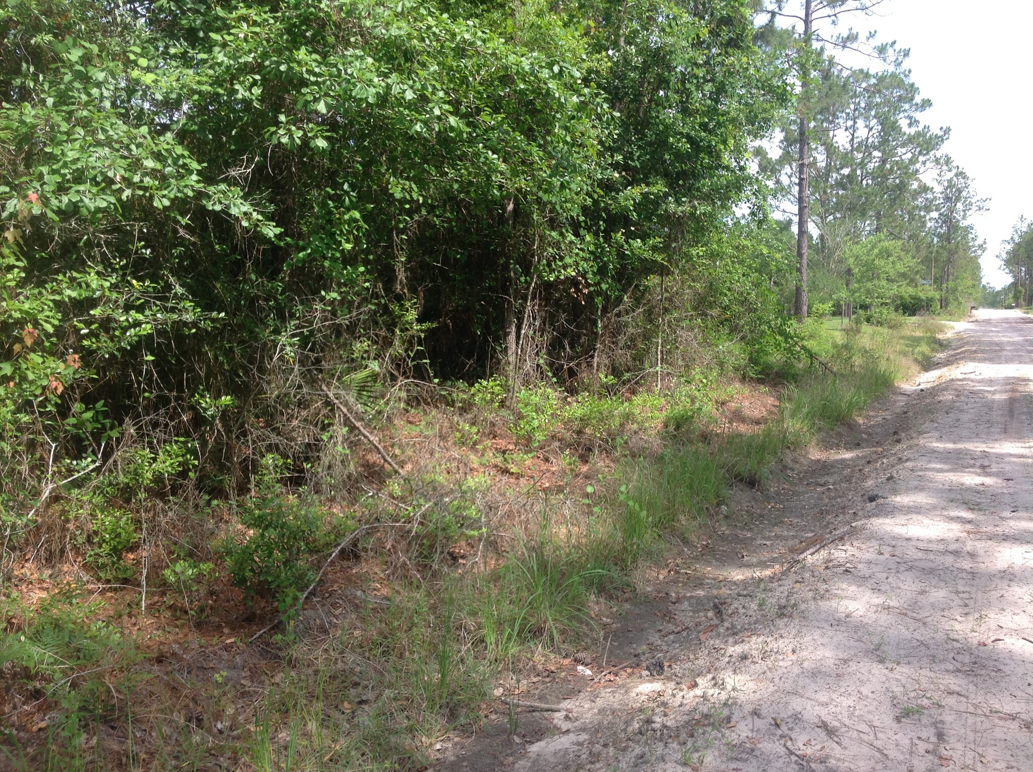 0 Tommy Rd, Glen St Mary, FL 32040