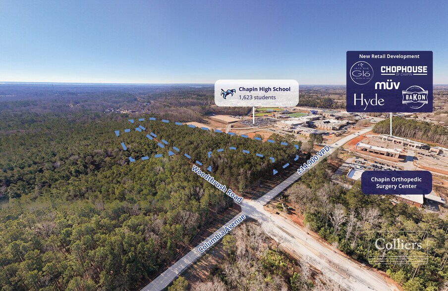Woodthrush Rd, Chapin, SC for sale - Primary Photo - Image 1 of 2