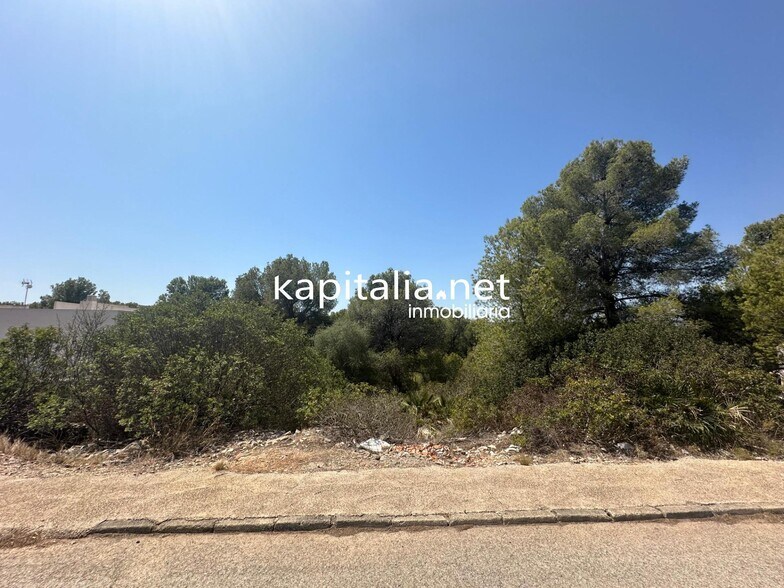 Land in San Cristóbal de La Laguna, Santa Cruz de Tenerife for sale - Building Photo - Image 3 of 5