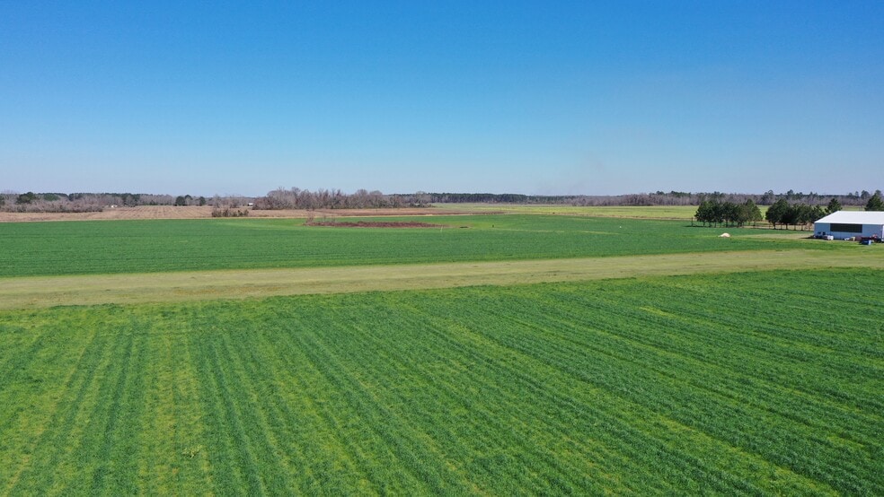 Lot 14 Davis Pond Rd rd, Atmore, AL for sale - Building Photo - Image 3 of 12