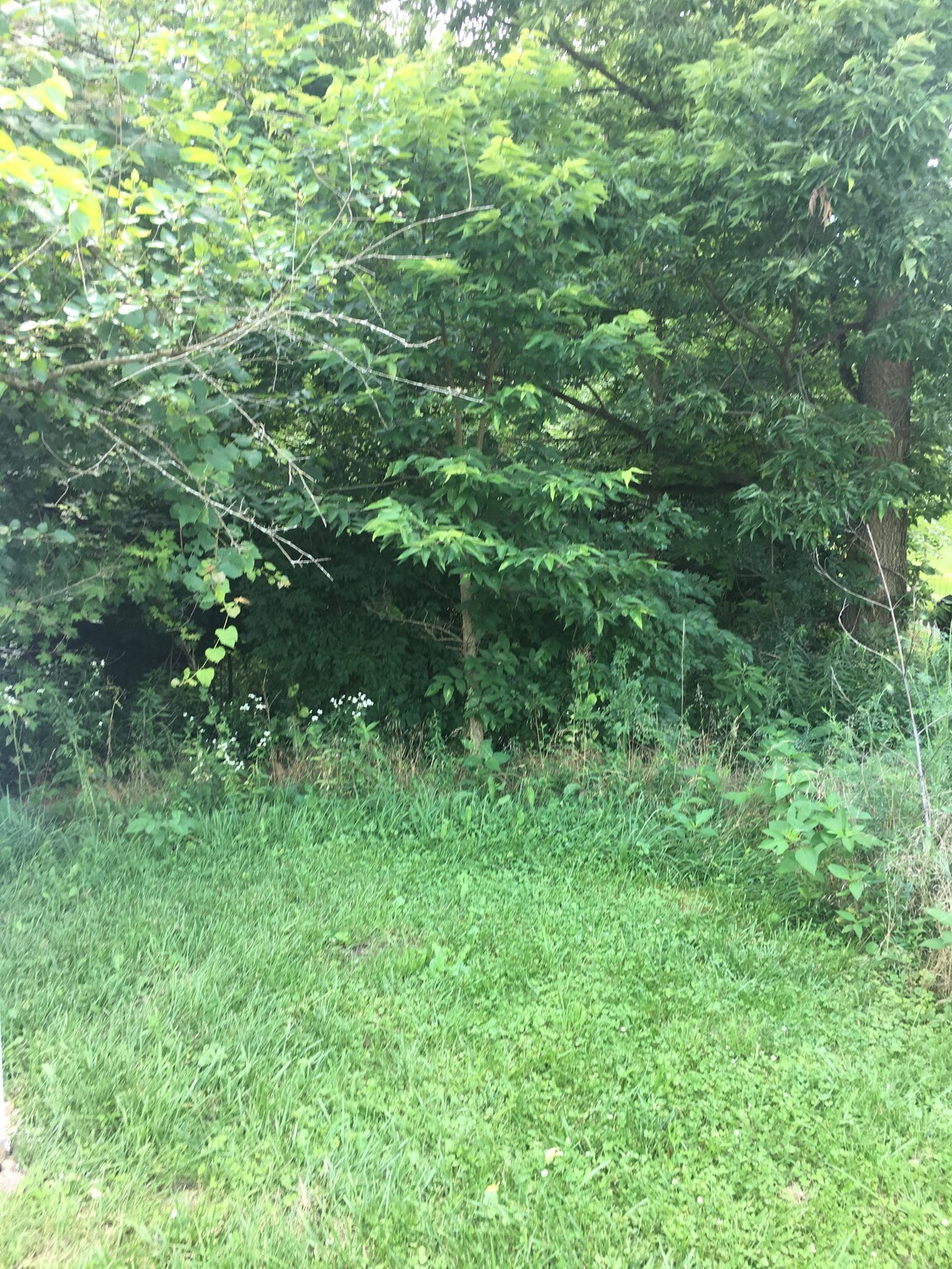 1250 N Union Rd, Dayton, OH for sale Other- Image 1 of 1