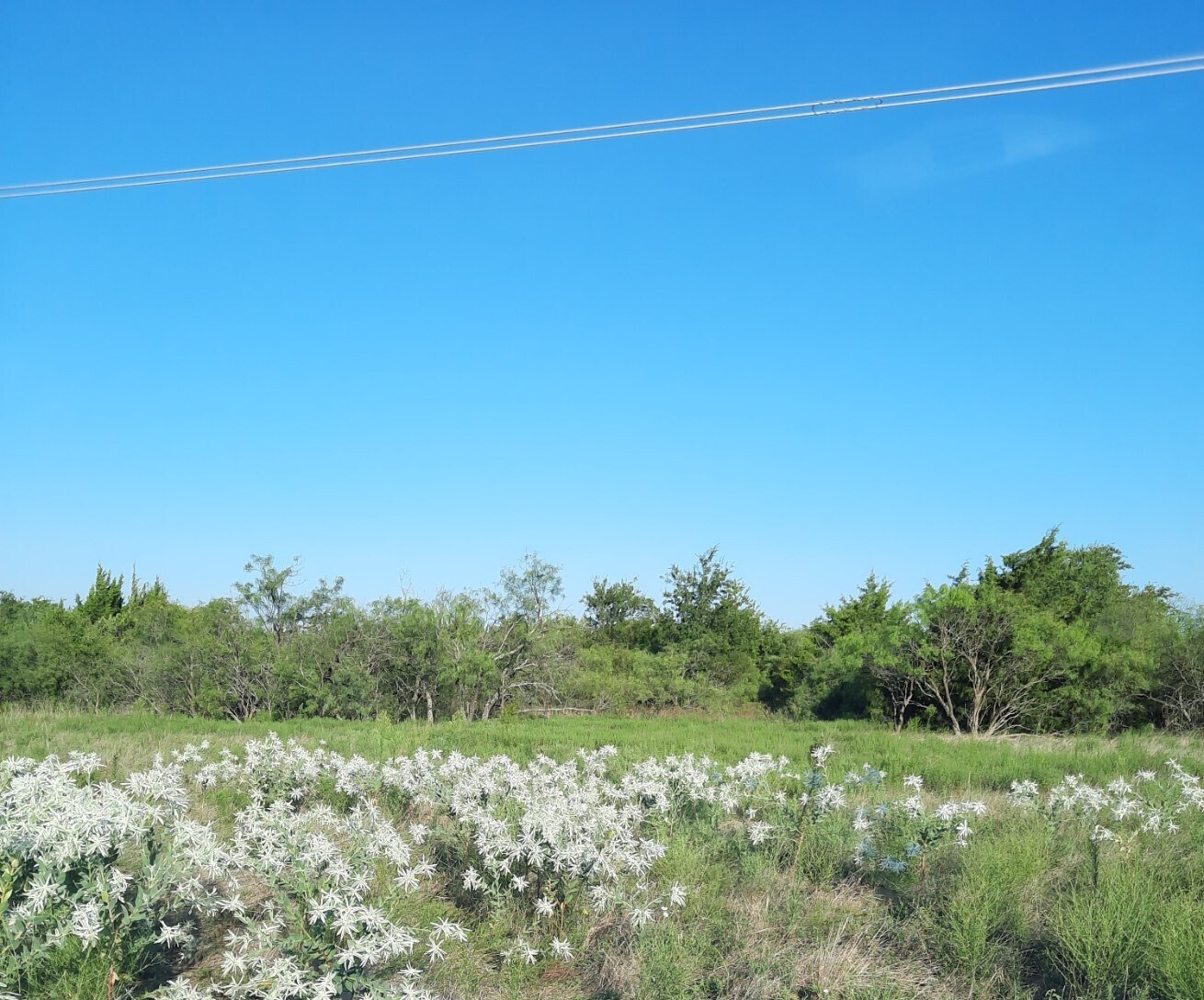 7617 CR 1014a, Joshua, TX for sale Primary Photo- Image 1 of 1