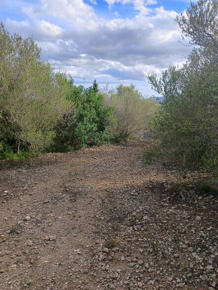 Land in Manacor, Islas Baleares for sale - Building Photo - Image 2 of 15