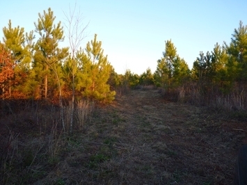 Pearidge Rd, Bostic, NC for sale - Primary Photo - Image 1 of 1