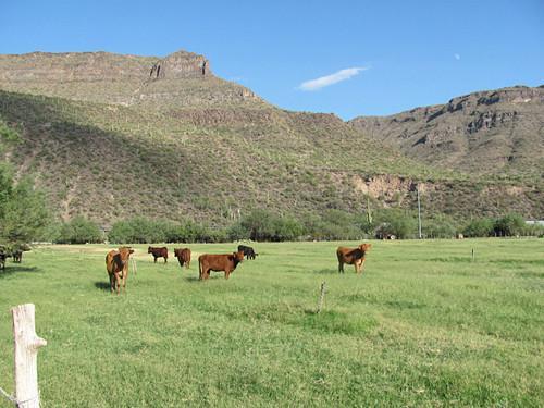 22300 E Tara Springs Rd, Black Canyon City, AZ for sale - Primary Photo - Image 1 of 1