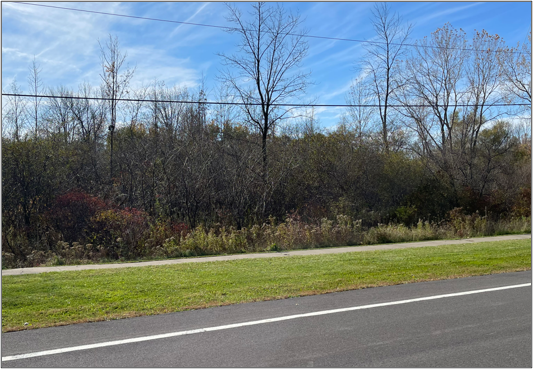 John Walsh Boulevard & McIntosh Drive, Auburn, NY for sale Primary Photo- Image 1 of 4