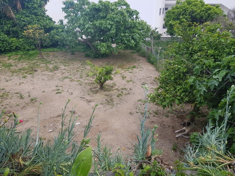 Office in Benalmádena for sale - Building Photo - Image 2 of 11