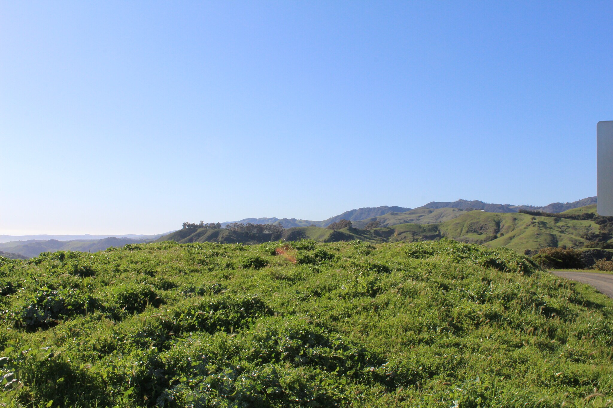 Red Mountain Rd, Cambria, CA for sale Aerial- Image 1 of 1