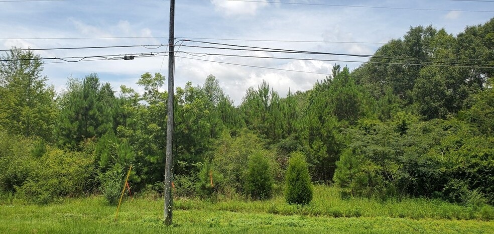 Land in Dothan, AL for sale - Other - Image 2 of 6