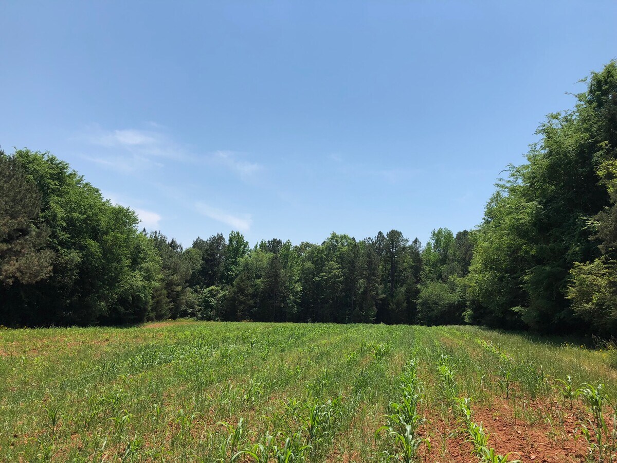 1388 Glasscock Rd, Rock Hill, SC 29730