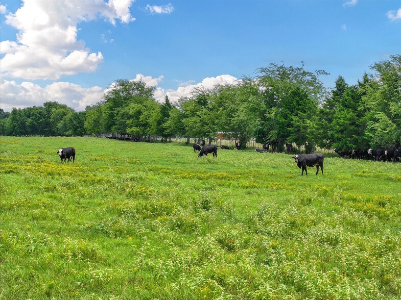 Tract 10 County Road 3415, Jacksonville, TX for sale - Building Photo - Image 3 of 14